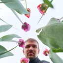 ���������� �����������, ���� ������� �����, 42 ����, ������������ ��� ������, ����� � ���������