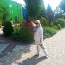 ���������� ����������, ���� ������� ������, 51 ���, ������������ ��� ������, ����� � ���������, ���������