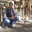  ,   Dmitriy, 38 ,   ,   , c 