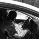 ���������� �����, ���� ������� �������, 34 ����, ������������ ��� ����� � ���������, c�������� ���������, ���������