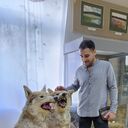 ���������� �����, ���� ������� Zain, 35 ���, ������������ ��� ���������