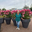 ���������� �����-���������, ���� ������� ����, 62 ����, ������������ ��� c�������� ���������