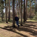  ,   , 38 ,   ,   , c 