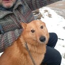 ���������� �������� ����, ���� ������� ������, 60 ���, ������������ ��� ������, ����� � ���������