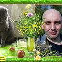  ,   Saha, 50 ,   ,   , c , 