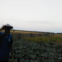 ���������� ������, ���� ������� �������, 42 ����, ������������ ��� ����� � ���������, c�������� ���������