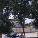 ���������� �������, ���� ������� ���������, 49 ���, ������������ ��� ������, ����� � ���������, c�������� ���������