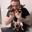 ���������� ����, ���� ������� �����, 39 ���, ������������ ��� ������, ����� � ���������