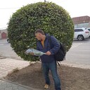 ���������� ������, ���� ������� �������, 38 ���, ������������ ��� ������, ����� � ���������, c�������� ���������