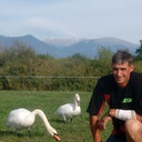 ���������� ���������, ���� ������� ������, 52 ����, ������������ ��� ������, ����� � ���������