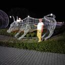 ���������� �����, ���� ������� �����, 62 ����, ������������ ��� ������, ����� � ���������