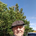  ,   , 65 ,  
