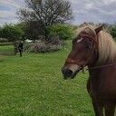 ���������� ��������������, ���� ������� �������, 39 ���, ������������ ��� ������, ����� � ���������, ���������