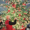 ���������� ������, ���� ������� ���, 28 ���, ������������ ��� ������, ����� � ���������