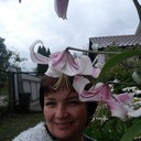  ,   , 46 ,   