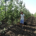 ���������� ���������, ���� ������� �������, 63 ����, ������������ ��� ����� � ���������, c�������� ���������