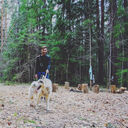 ���������� ������ ��������, ���� ������� ���, 29 ���, ������������ ��� ������, ����� � ���������