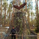 ���������� ��������, ���� ������� �����, 37 ���, ������������ ��� ������, ����� � ���������, c�������� ���������, ���������