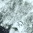 ���������� �������, ���� ������� ������, 33 ����, ������������ ��� ������, ���������