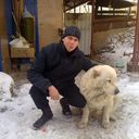  --,   , 36 ,   ,   , c 