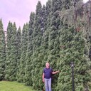  ,   , 60 ,   c 