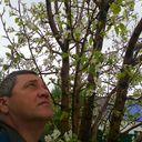 ���������� ���������, ���� ������� ������, 60 ���, ������������ ��� ������, ����� � ���������, c�������� ���������