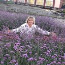 ���������� �����������, ���� ������� ����, 46 ���, ������������ ��� ������, ����� � ���������, c�������� ���������