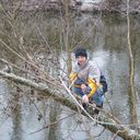 ���������� ����, ���� ������� ��������, 31 ���, ������������ ��� ������