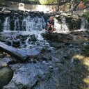 ���������� ������-��-����, ���� ������� ����, 36 ���, ������������ ��� ������, ����� � ���������, c�������� ���������