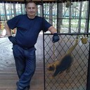 ���������� �����������, ���� ������� ��������, 43 ����, ������������ ��� ������, ����� � ���������