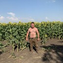 ���������� ������, ���� ������� �����, 35 ���, ������������ ��� ������, ����� � ���������, c�������� ���������