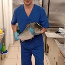 ���������� ������, ���� ������� ������, 39 ���, ������������ ��� ������, ����� � ���������, c�������� ���������