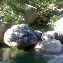 ���������� �����������, ���� ������� Andreu, 43 ����, ������������ ��� ������