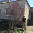 ���������� ���������, ���� ������� �������, 50 ���, ������������ ��� ����� � ���������, c�������� ���������