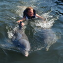  Phuket,   , 44 ,   ,   , c , 