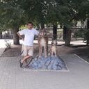 ���������� �������, ���� ������� �������, 46 ���, ������������ 