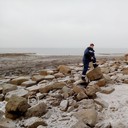 ���������� ������, ���� ������� ������, 38 ���, ������������ ��� ������, ����� � ���������, c�������� ���������