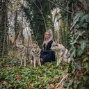 ���������� ���������, ���� ������� �����, 39 ���, ������������ ��� c�������� ���������