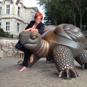 ���������� ���������, ���� ������� Toma, 68 ���, ������������ ��� ������, ����� � ���������, c�������� ���������