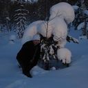 ���������� ��������, ���� ������� DEMON66685, 40 ���, ������������ ��� ����� � ���������, c�������� ���������, ���������