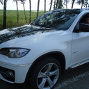 ���������� ��������, ���� ������� �����, 43 ����, ������������ ��� ����� � ���������, c�������� ���������