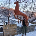 ���������� ���������, ���� ������� �����, 41 ���, ������������ ��� ������, ����� � ���������