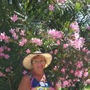  ,   , 62 ,   c 