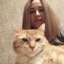 ���������� �����������, ���� ������� �������, 36 ���, ������������ ��� ������, ����� � ���������, c�������� ���������, ���������