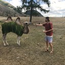  -,   , 39 ,   ,   , c 