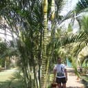 ���������� ������ ��������, ���� ������� ��������, 42 ����, ������������ ��� ������, ����� � ���������, c�������� ���������