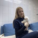 ���������� ������, ���� ������� �����, 21 ���, ������������ ��� ����� � ���������, c�������� ���������, ���������