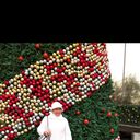 ���������� �������, ���� ������� �������, 59 ���, ������������ ��� ������, ����� � ���������