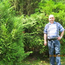  ,   , 62 ,  