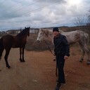 ���������� ���������������, ���� ������� ������, 41 ���, ������������ ��� ������, ����� � ���������, c�������� ���������, ���������